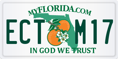 FL license plate ECTM17