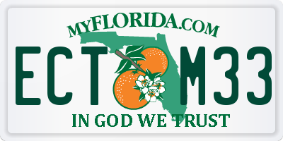 FL license plate ECTM33