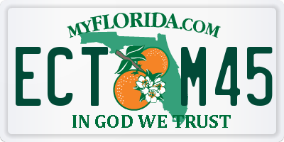 FL license plate ECTM45
