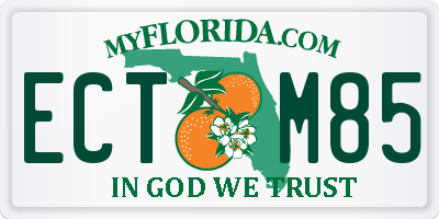 FL license plate ECTM85