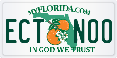 FL license plate ECTN00