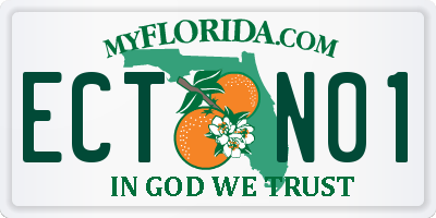 FL license plate ECTN01