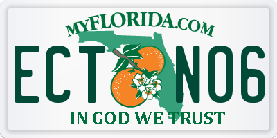 FL license plate ECTN06