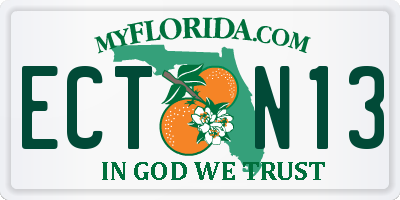 FL license plate ECTN13