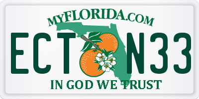 FL license plate ECTN33