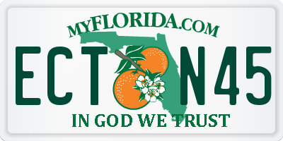 FL license plate ECTN45