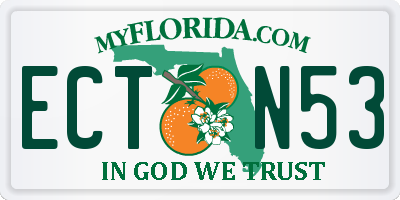 FL license plate ECTN53
