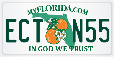 FL license plate ECTN55