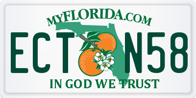 FL license plate ECTN58