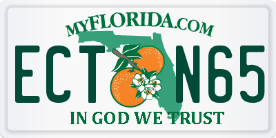 FL license plate ECTN65