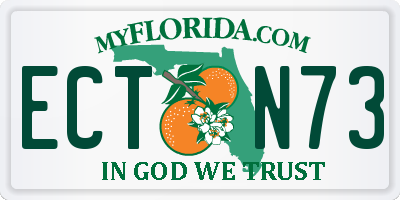FL license plate ECTN73