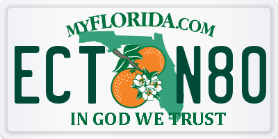FL license plate ECTN80