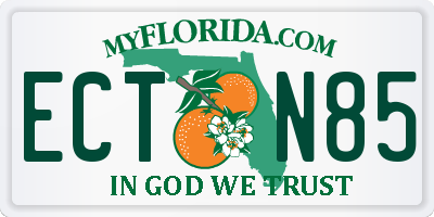 FL license plate ECTN85