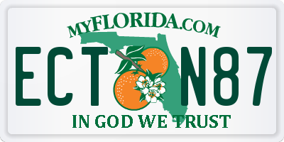 FL license plate ECTN87