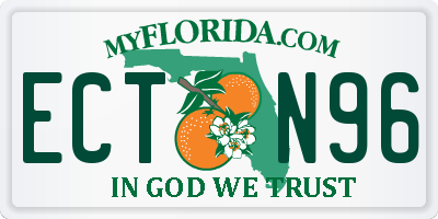 FL license plate ECTN96