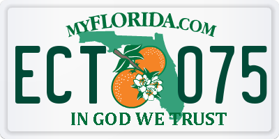 FL license plate ECTO75