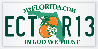 FL license plate ECTR13