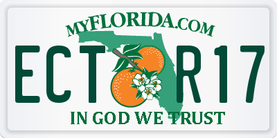 FL license plate ECTR17