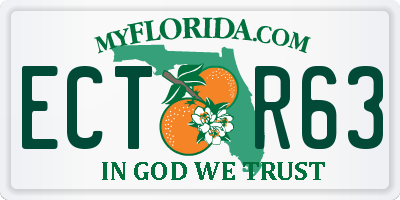 FL license plate ECTR63