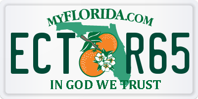 FL license plate ECTR65