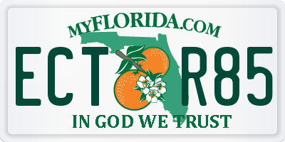 FL license plate ECTR85