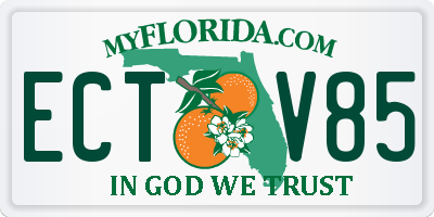 FL license plate ECTV85