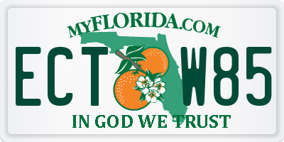 FL license plate ECTW85