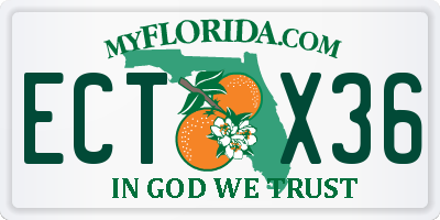 FL license plate ECTX36