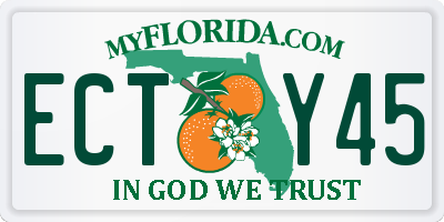 FL license plate ECTY45