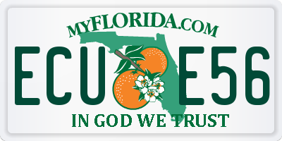 FL license plate ECUE56