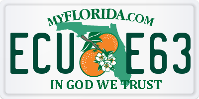 FL license plate ECUE63