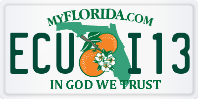 FL license plate ECUI13