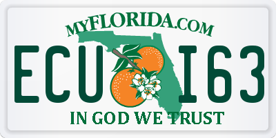 FL license plate ECUI63