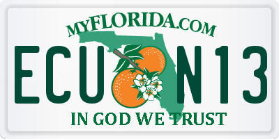 FL license plate ECUN13