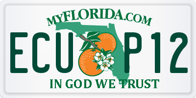 FL license plate ECUP12