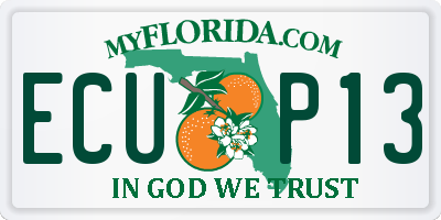 FL license plate ECUP13