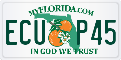 FL license plate ECUP45