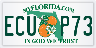 FL license plate ECUP73