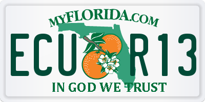 FL license plate ECUR13