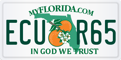 FL license plate ECUR65