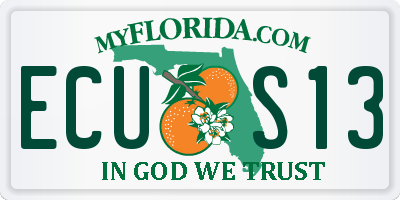 FL license plate ECUS13