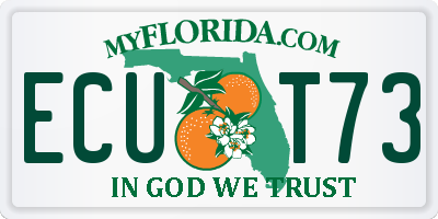 FL license plate ECUT73