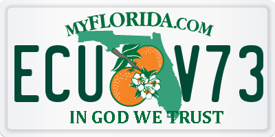 FL license plate ECUV73