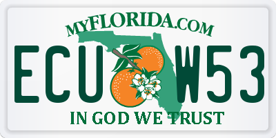 FL license plate ECUW53