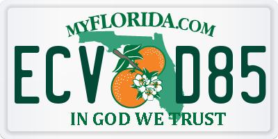 FL license plate ECVD85