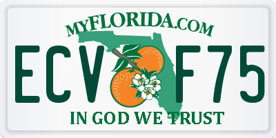 FL license plate ECVF75