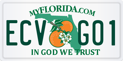 FL license plate ECVG01