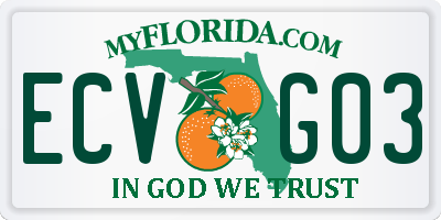 FL license plate ECVG03