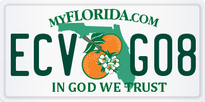 FL license plate ECVG08