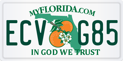 FL license plate ECVG85